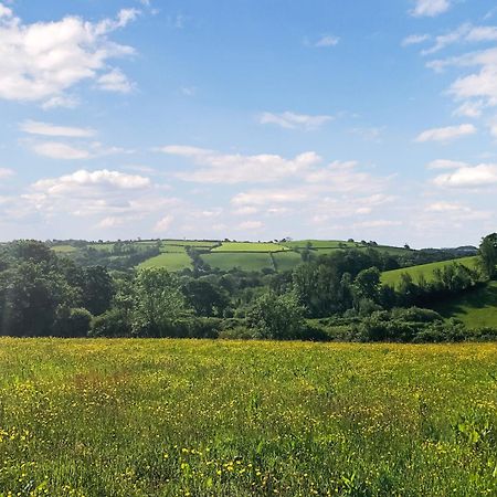 Вилла Ynywsen Dairy Flat Llanfynydd Экстерьер фото