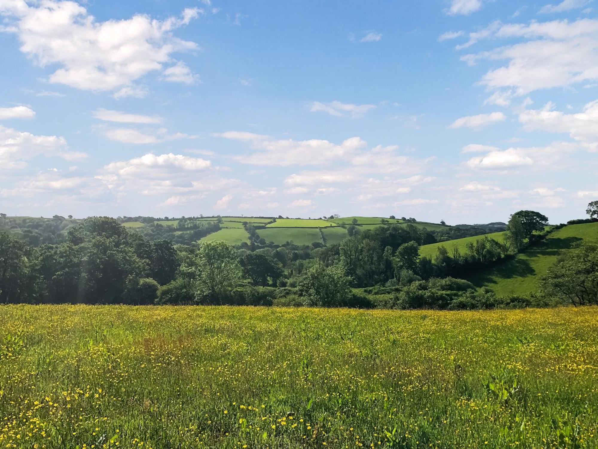 Вилла Ynywsen Dairy Flat Llanfynydd Экстерьер фото